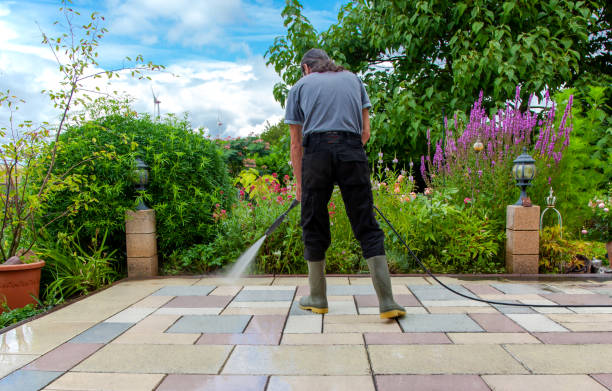 Best Winterizing Services  in Clio, MI