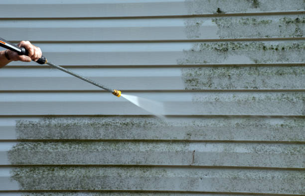 Animal Enclosure Cleaning in Clio, MI